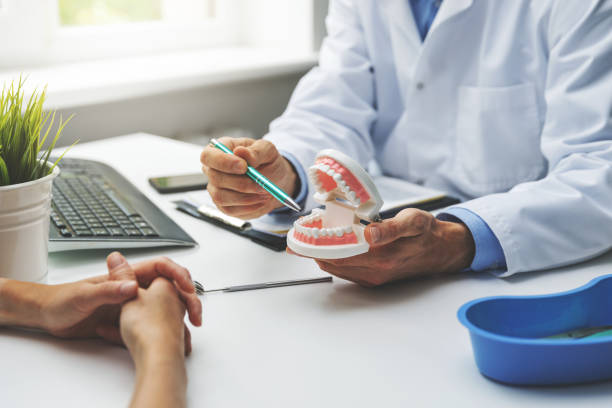 Best Preventive Dentistry  in Palmetto Estates, FL
